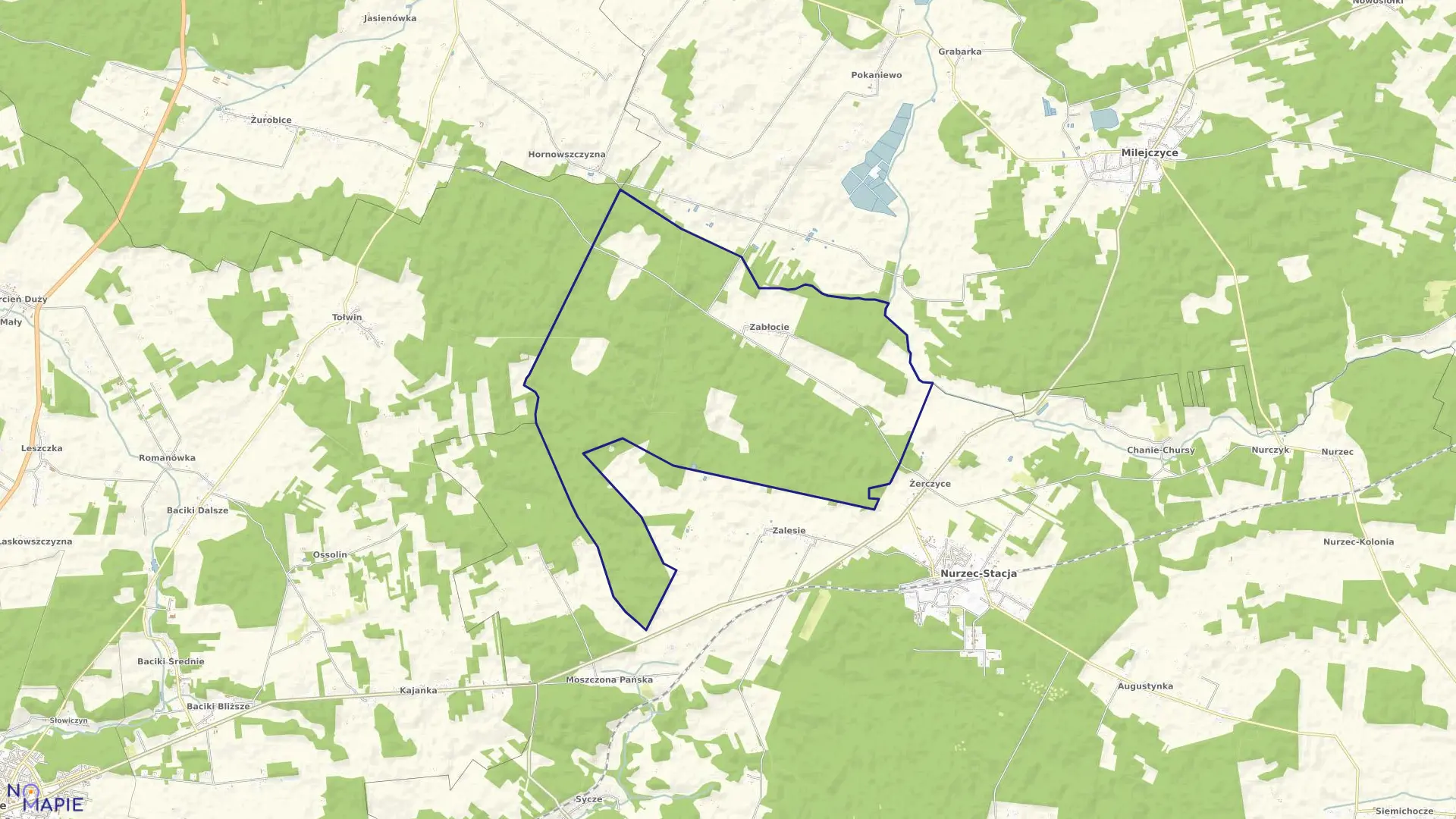 Mapa obrębu ZABŁOCIE w gminie Nurzec-Stacja